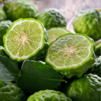 Bergamot Essential Oil