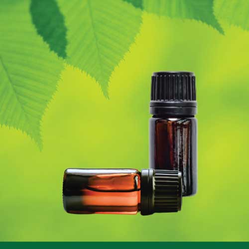 Essential Oil Blends NZ